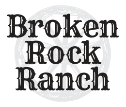 Valley Center Glamping logo